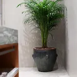 帕达姆精品酒店 地拉那