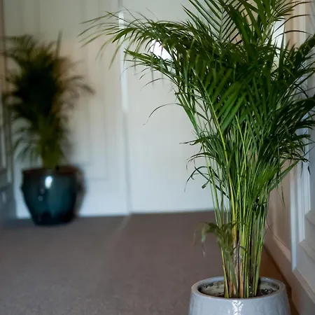 帕达姆精品酒店 酒店