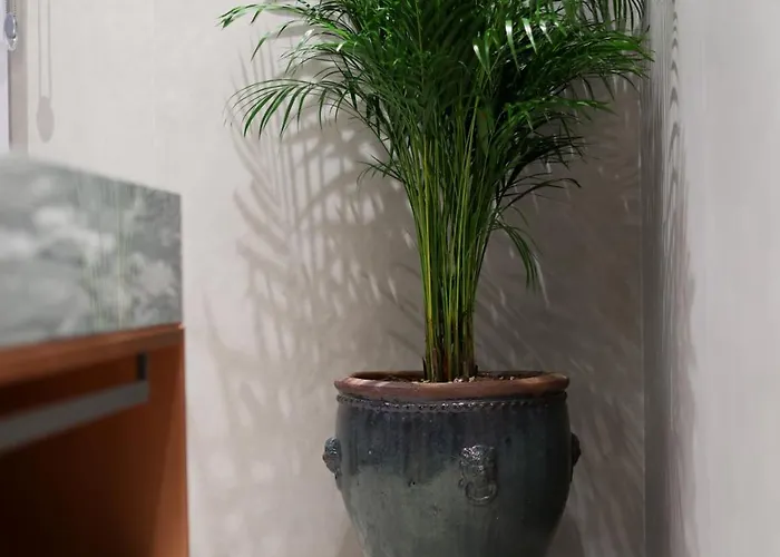 Padam Boutique Tirana